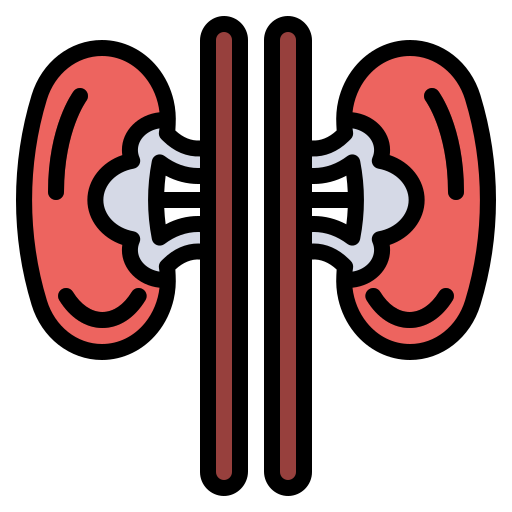 kidney